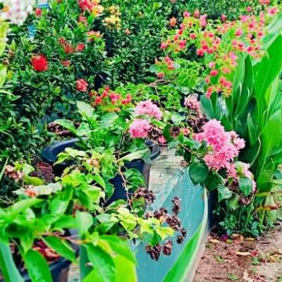 Fb Img 1653388491463